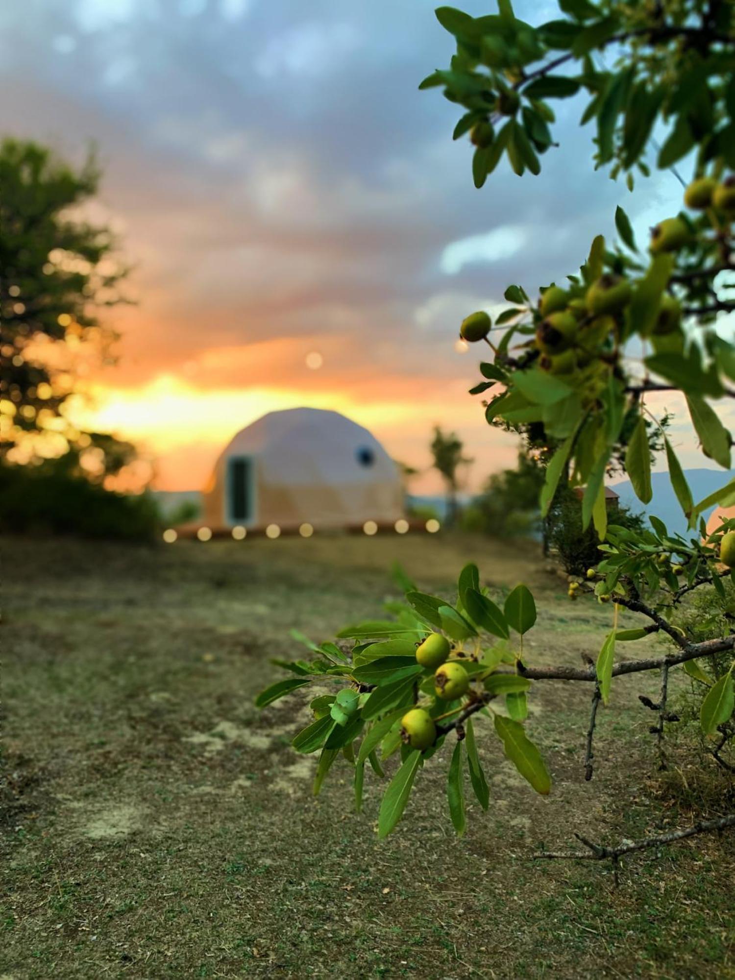 Aura - Glamping Experience 호텔 Accettura 외부 사진
